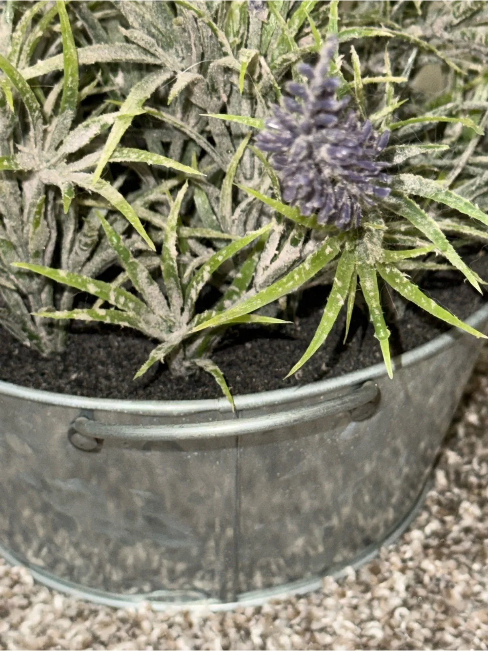 Artificial lavender plant in silver bucket